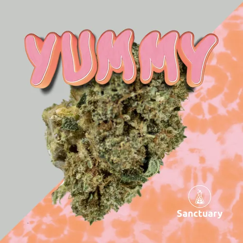 3.5g Small Bud - Yummy