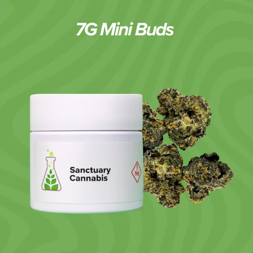 Black Ice Mini Buds - 7g from  product image