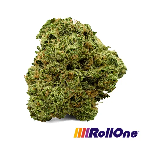 White 99 Flower from  product image
