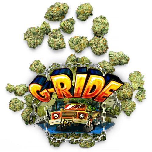 G-Ride - Pops - 