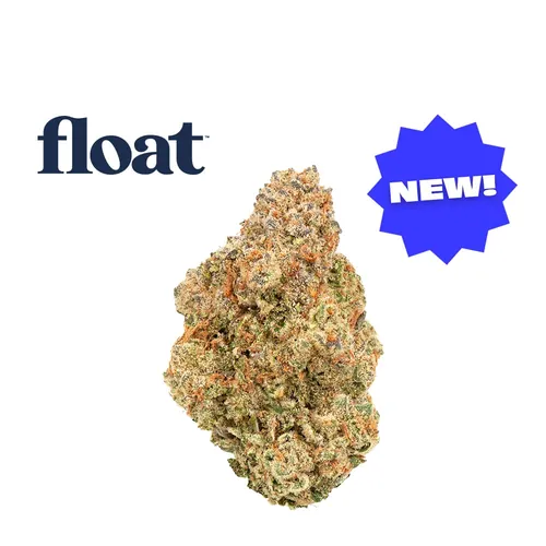  from  product image