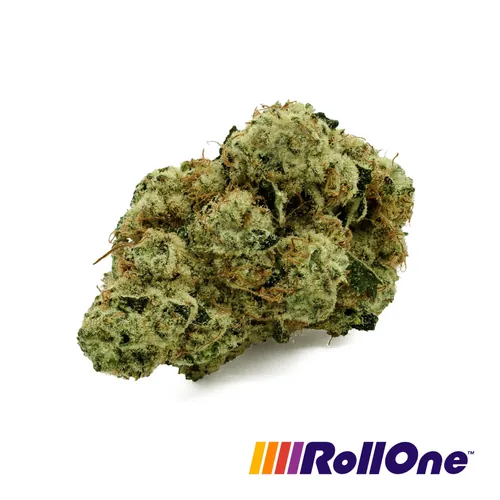 Grape Kush - 