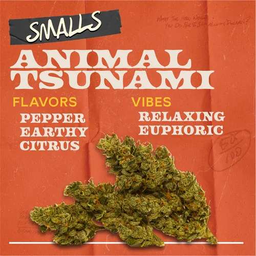 Animal Tsunami - 
