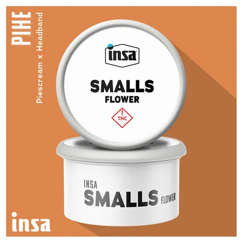Smalls - Pi Head from  product image