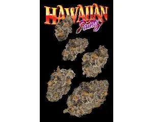 Hawaiian Runtz #8 7g Juniors by Runtz - 7.000g Whole