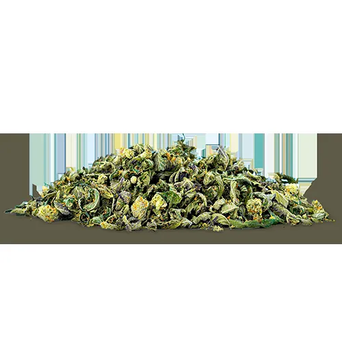 image of Supply Shake 7g - HP13 x Zkittlez (I)