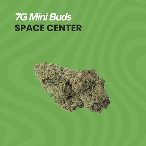 Mini Buds S. Center
