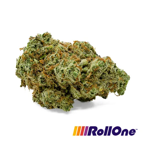  from  product image