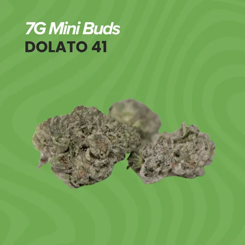 Buds Dolato 41 -  cannabis product