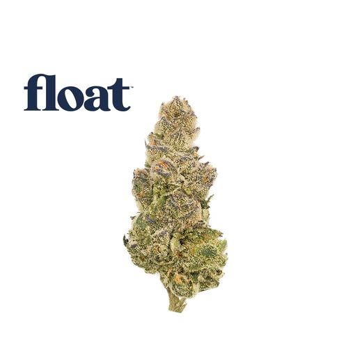 Florida Frost Point - 