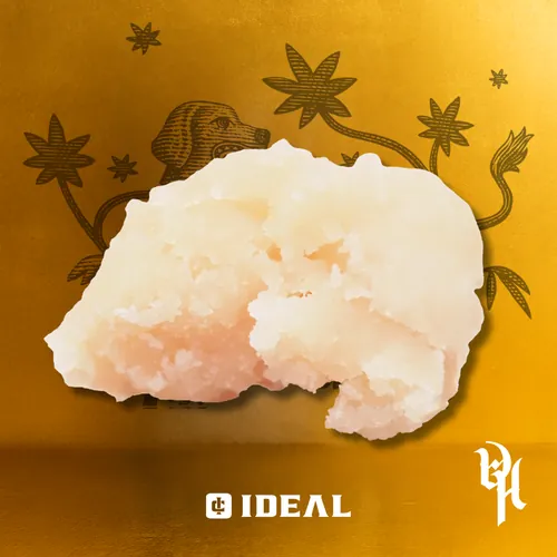 Scooby Snacks by Ideal Cannabis - 1.000g Badder