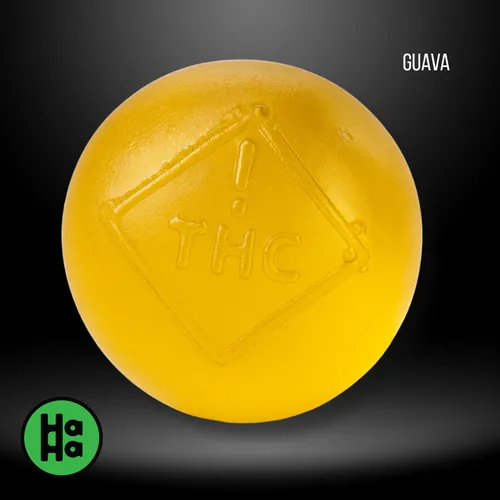 Blended HH Guava Soft Chews 1:1 from  product image
