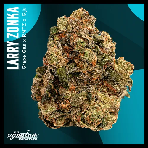 Large Pack Flower - Pave from  product image