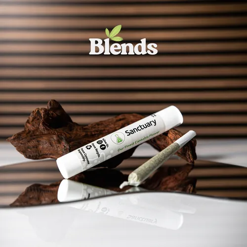 Boof Bomb Pre-Roll - Single | 1g by Blends By Sanctuary - 1.000g PreRoll