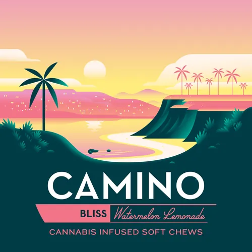 Camino Watermelon Lemonade Soft Chews from  product image