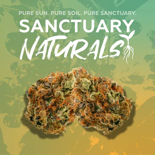 Sanctuary Naturals 3.5g | Lemon Meringue from  product image