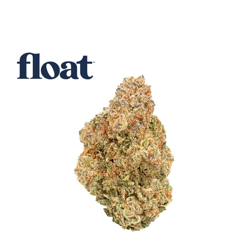 Reckless Driver from  product image