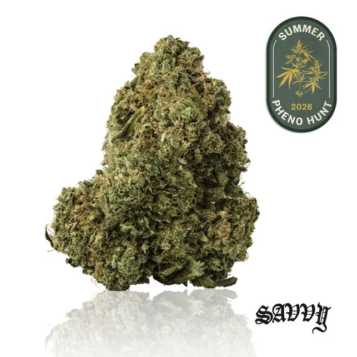 KiwiSrs x BblGm by Savvy - 3.500g Whole