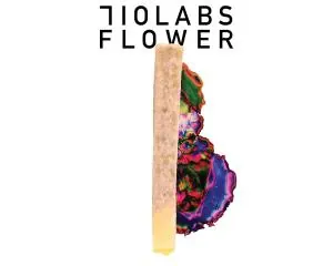 710 Labs Noodle Doink 1G - Skywalker OG - 