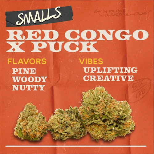 Red Congo x Puck - 