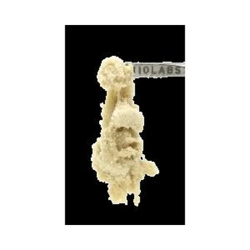 Water Hash 1G - Rick Jamez #3 (Living Soil) from  product image