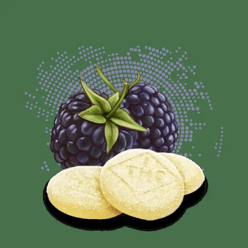 Blackberry Phyllo - C-Bite - Rosin - 100mg - 10ct - 