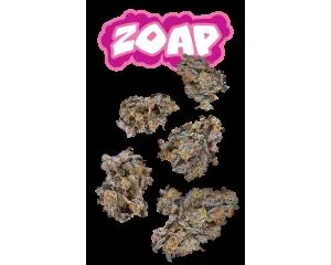 image of WT Zoap 7g Juniors
