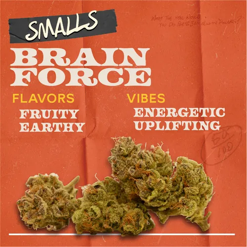 Brain Force - 7g Smalls Flower by Sunburn - 7.000g Smalls