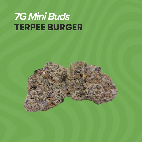 Terpee Burger Mini Buds - 7g by Sanctuary Medicinals - 7.000g Smalls