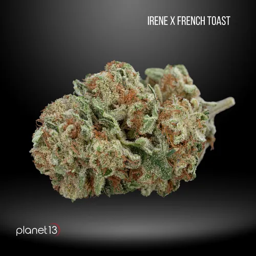 Irene x French Toast -  cannabis product