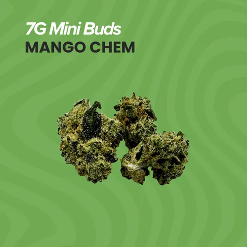 image of Mango Chem | 7g Mini Buds