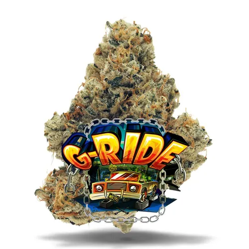 G-Ride - Premium Flower from  product image