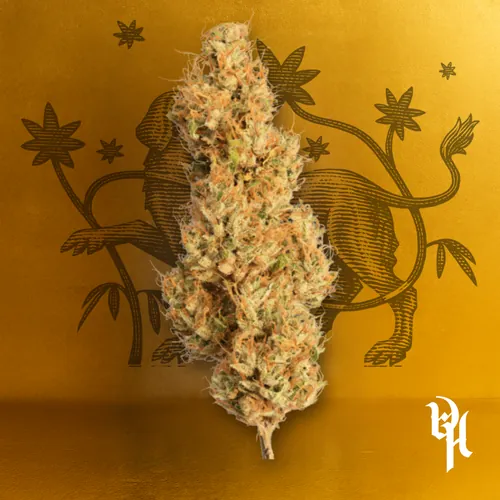 Island Glow #3 by Doghouse - 3.500g Whole