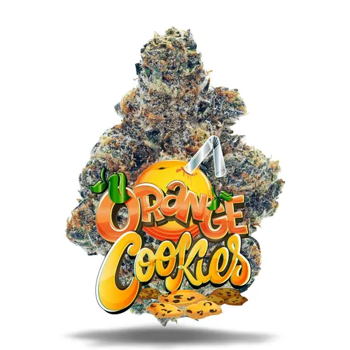 Orange Cookies - Premium Flower by Jungle Boys - 3.500g Baked