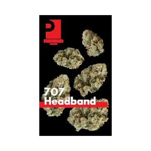 707 Headband 7g Juniors from  product image