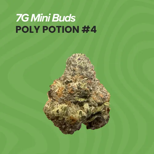 Polyjuice Potion #4 Mini Buds - 7g by Sanctuary Medicinals - 7.000g Smalls