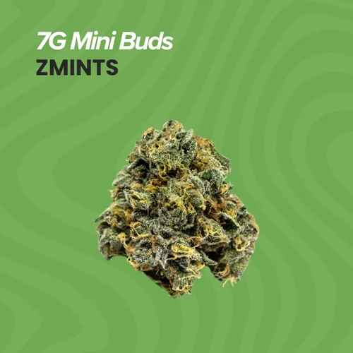 Buds Zmnts - 