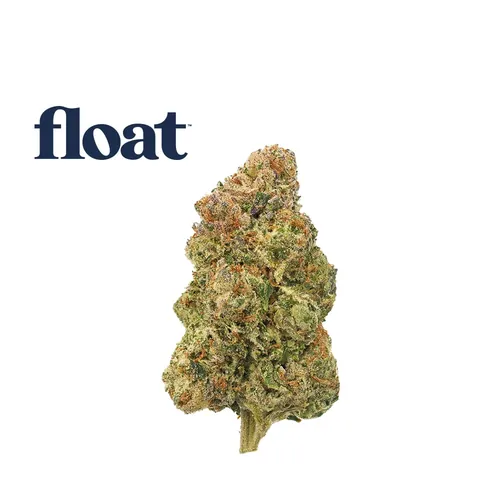  from  product image