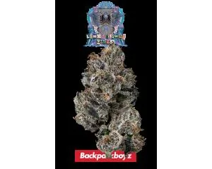 image of Lemon Cherry Guava Eighth