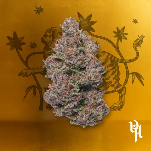 Jelly Donuts by Doghouse - 3.500g Whole