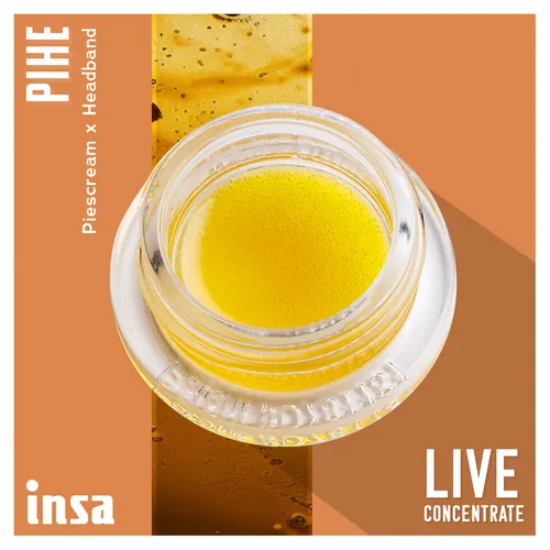 Live Budder - Pi Head from  product image