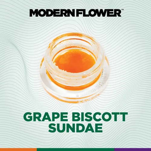 Grape Biscotti Sundae Live Terpene Sauz by Modern Flower - 1.000g Disposable