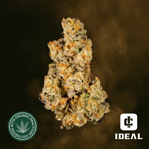 Mule Fuel by Ideal Cannabis - 3.500g Whole