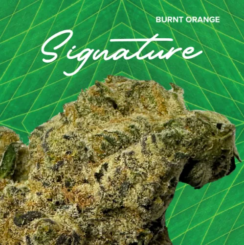image of Signature | Burnt Orange | 3.5g