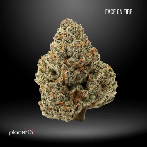 Face on Fire -  cannabis product