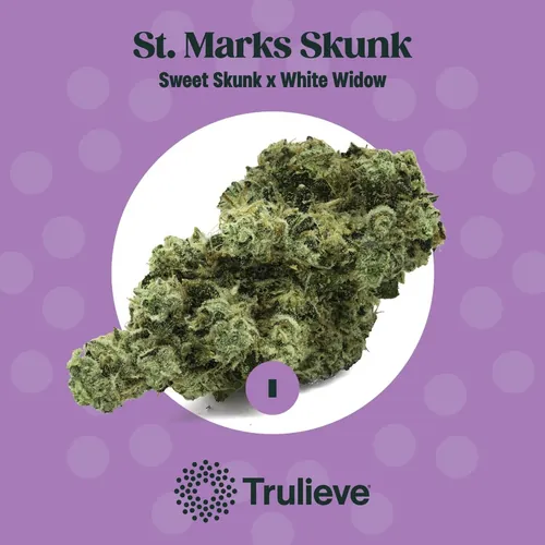 St. Marks Skunk - 