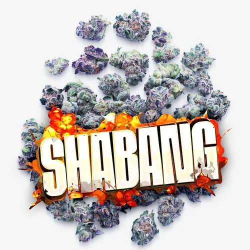 Shabang - Pops by Jungle Boys - 7.000g Smalls