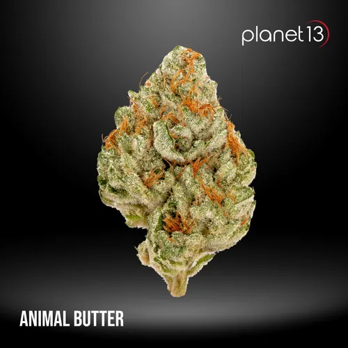 Animal Butter 3.5g Pouch Tier 1 from  product image
