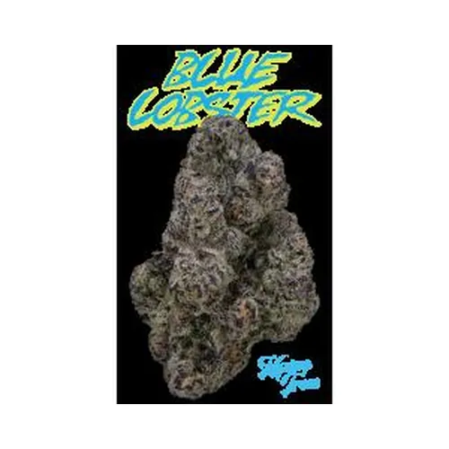 image of Blue Lobster Eighth (Glass Jar)