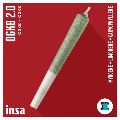 Pre-Roll - OGKB 2.0 by Insa Premium - 1.000g PreRoll